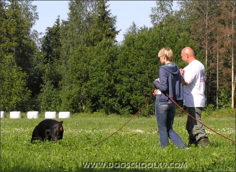 Summer training camp in Estonia 2007